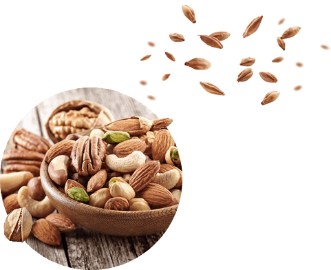 Witamy w orzechowe.eu